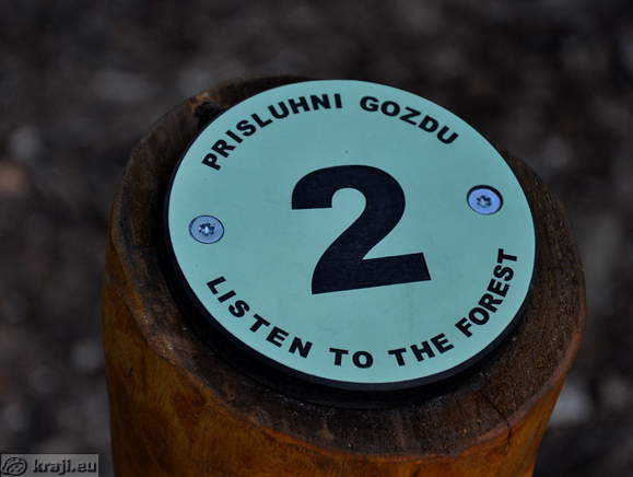 2 - Prisluhni gozdu