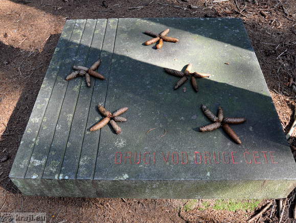 Drugi vod druge čete